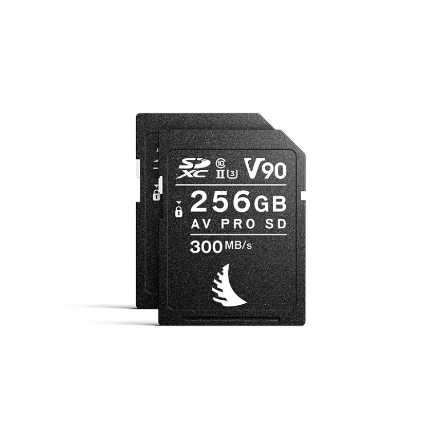Match Pack for EVA1 256 GB | 2 PACK Набор 2 карты для Panasonic EVA1. SD 256 GB