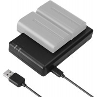 Двухпостовая зарядная станция Hollyland Dual Slot Charger для зарядки аккумуляторных батарей типа NP-F (USB Type-C)